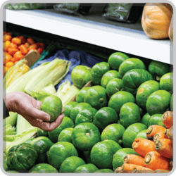 Food Safety Monitoring_1