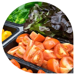 Food-Safety-Monitoring-Thumbnail-1